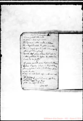 Fotogramma D 8