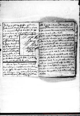 Fotogramma C 3