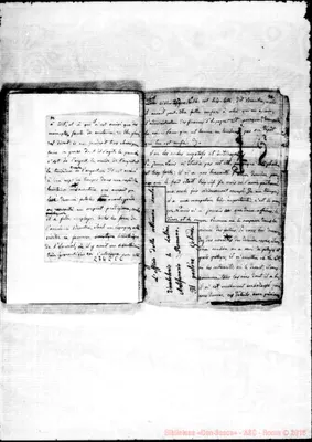 Fotogramma C 6