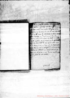 Fotogramma C 8