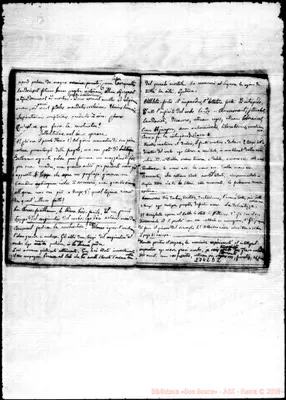 Fotogramma D 2