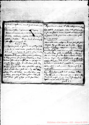 Fotogramma D 3