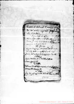 Fotogramma D 7
