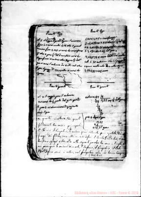 Fotogramma D 11