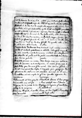 Fotogramma B 8