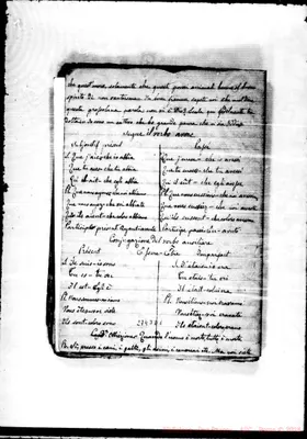 Fotogramma D 1