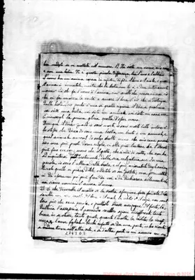 Fotogramma D 2