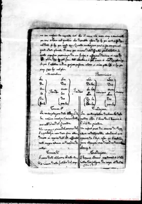 Fotogramma D 9
