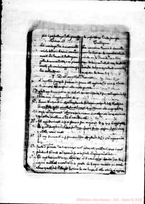 Fotogramma D 11