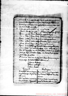 Fotogramma D 12