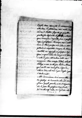 Fotogramma D 10