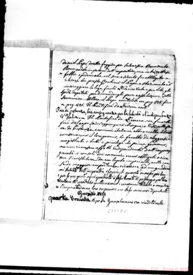 Fotogramma D 11