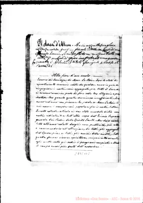 Fotogramma B 8
