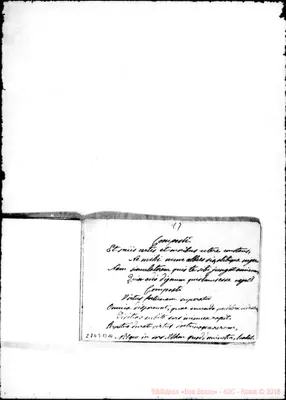 Fotogramma B 10