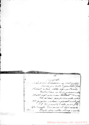 Fotogramma C 6