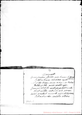Fotogramma C 8