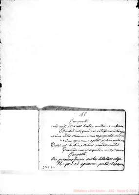 Fotogramma D 4