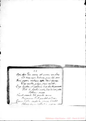Fotogramma D 5