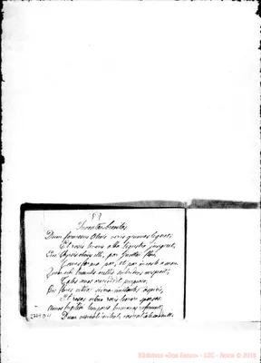 Fotogramma D 11
