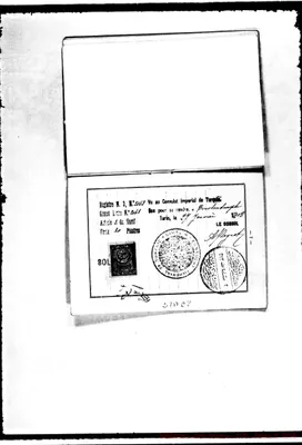 Fotogramma E 8