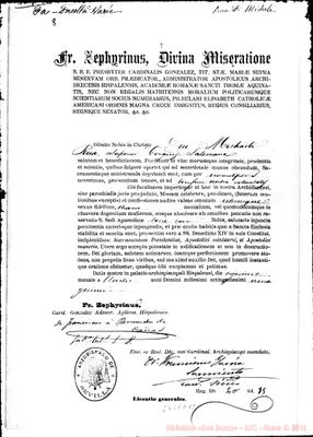 Fotogramma D 12