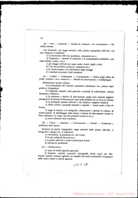 Fotogramma D 8