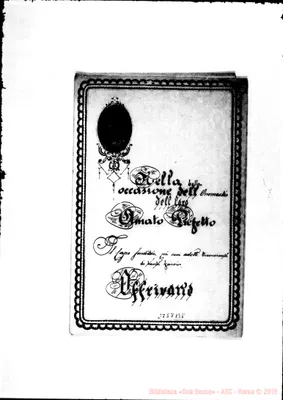 Fotogramma B 8