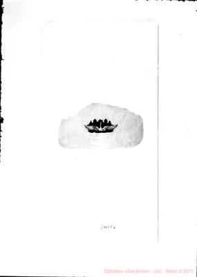Fotogramma E 7