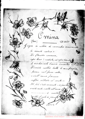 Fotogramma C 3