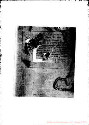 Fotogramma C 11