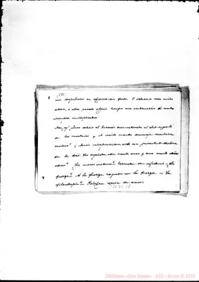 Fotogramma C 11