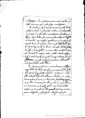 Fotogramma C 5