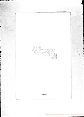 Fotogramma E 8