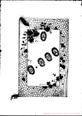 Fotogramma D 5