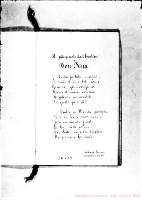 Fotogramma D 9