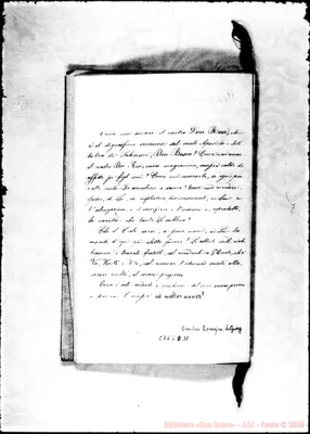 Fotogramma D 11