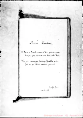 Fotogramma D 12