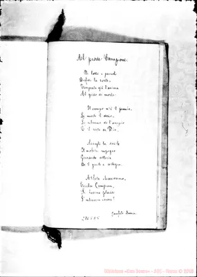 Fotogramma E 5