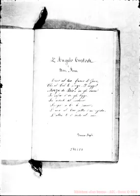 Fotogramma E 7