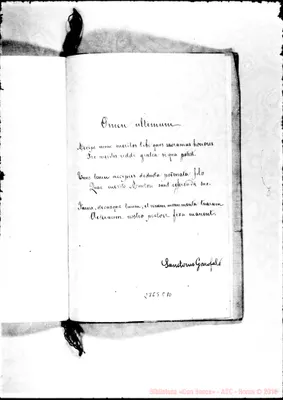 Fotogramma E 10
