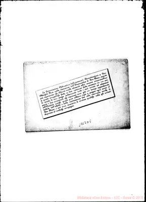 Fotogramma D 5