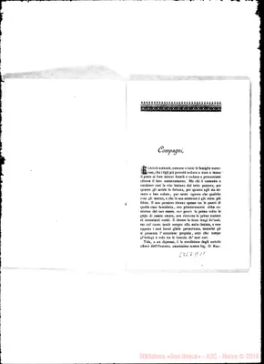 Fotogramma D 11