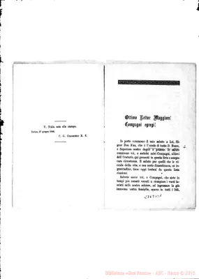 Fotogramma B 1
