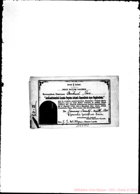 Fotogramma B 5