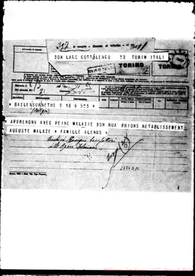Fotogramma D 11