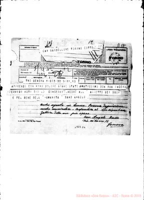 Fotogramma D 6