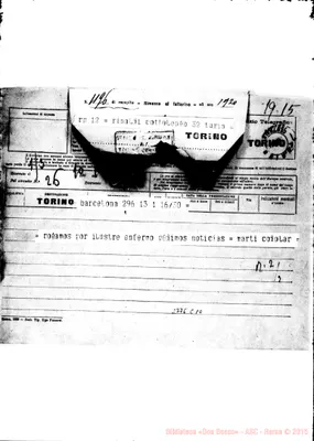 Fotogramma C 10