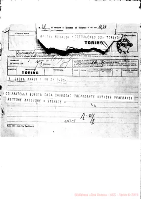 Fotogramma C 8
