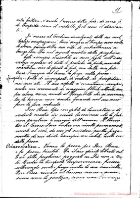 Fotogramma C 2