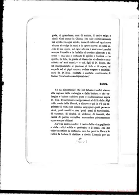 Fotogramma C 7